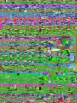 Snapshot of Wicy23 chatting on May 29, 2026, 3:48 am Wicy23 online show from May 29, 2026, 3:48 am