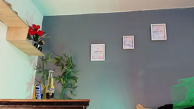 sofia laverde online show from March 17, 2026, 7:06 pm