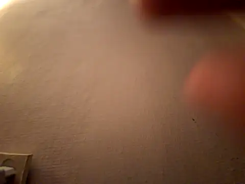 DanekBear online show from April 14, 2026, 10:38 pm