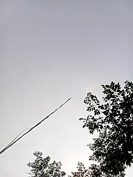 LISAA-6969 online show from April 15, 2026, 8:10 am