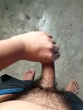 Damilalo online show from February 15, 2026, 1:41 pm