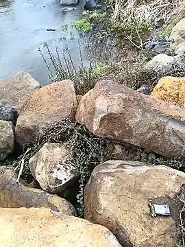 costt2 online show from January 18, 2026, 11:03 am