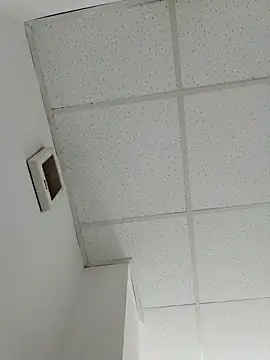 yulistar33 online show from April 22, 2026, 1:56 pm