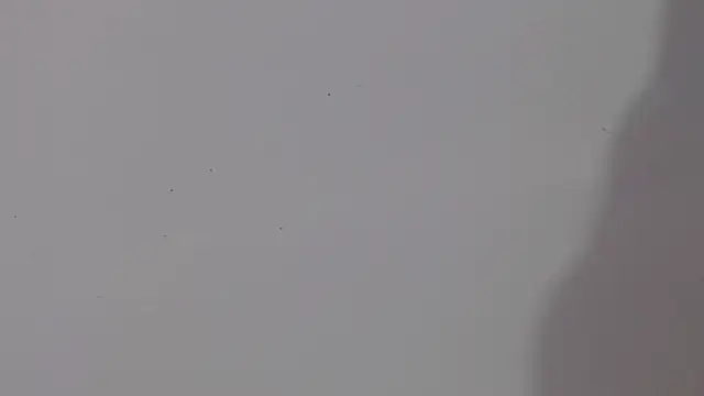 Snapshot of adara_cute_69 chatting on February 5, 2026, 6:12 pm adara cute 69 online show from February 5, 2026, 6:12 pm