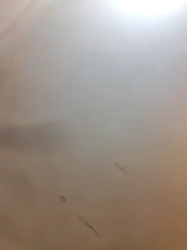 Cutytxx online show from February 10, 2026, 10:47 pm