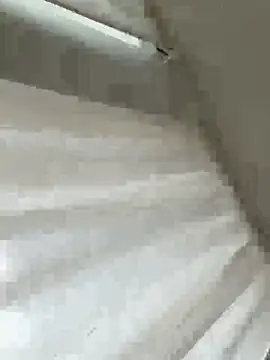 Snapshot of Sara0202 chatting on February 18, 2026, 12:01 pm Sara0202 online show from February 18, 2026, 12:01 pm