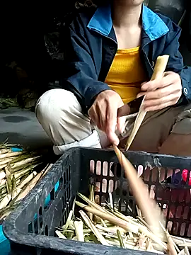 Hayaya11 online show from March 17, 2026, 9:45 am