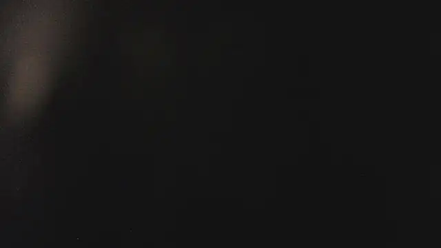 Snapshot of Fancy_Vixen chatting on February 27, 2026, 3:50 am Fancy Vixen online show from February 27, 2026, 3:50 am