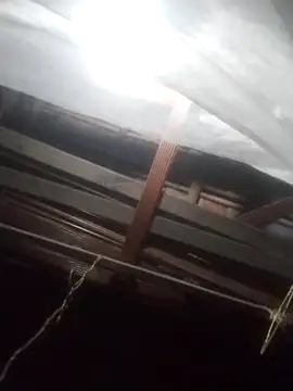 Snapshot of degeneradicto chatting on February 15, 2026, 5:04 am degeneradicto online show from February 15, 2026, 5:04 am