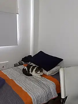 Nikolth 4 online show from February 4, 2026, 3:18 pm