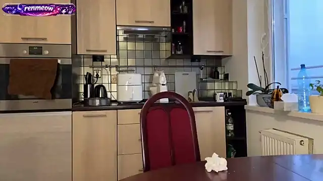 RenMeow online show from February 17, 2026, 4:13 pm