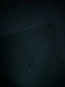 dominick fran online show from February 11, 2026, 11:10 pm