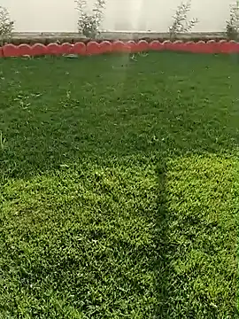 Romantic rakesh 12 online show from February 7, 2026, 11:14 am