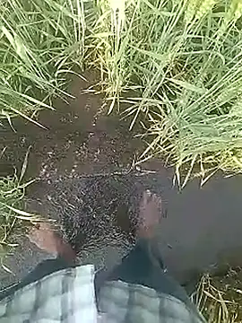 Snapshot of Cute_Boy_4 chatting on February 10, 2026, 3:21 am Cute Boy 4 online show from February 10, 2026, 3:21 am