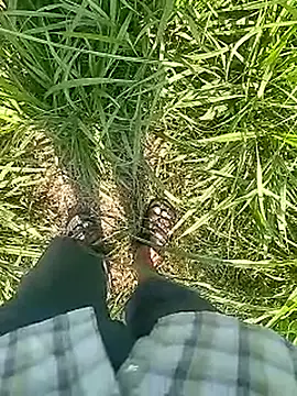 Snapshot of Cute_Boy_4 chatting on February 22, 2026, 5:30 am Cute Boy 4 online show from February 22, 2026, 5:30 am