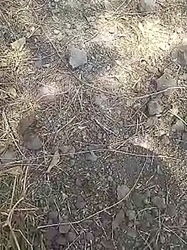 Cute Boy 4 online show from March 15, 2026, 8:09 am