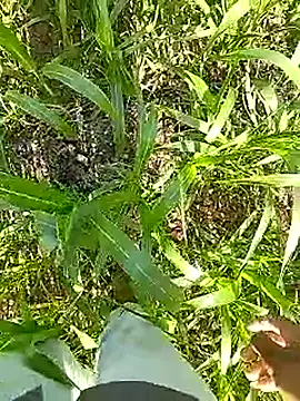 Cute Boy 4 online show from April 13, 2026, 3:34 am