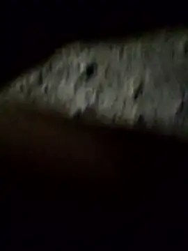 crazyxy12 online show from February 8, 2026, 3:48 pm