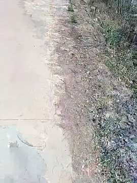 janu 9900 online show from February 18, 2026, 6:09 am