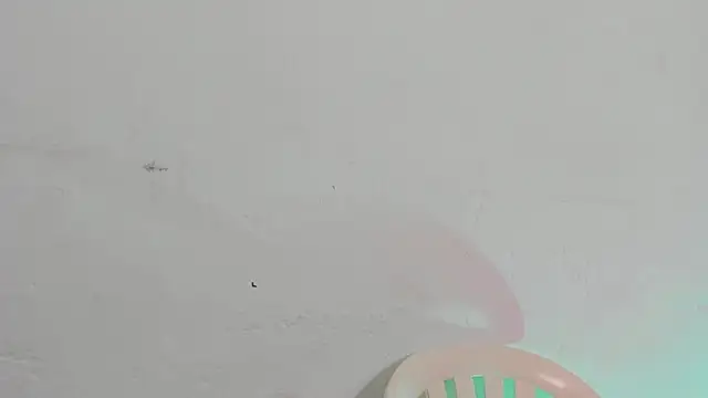 Emely pregnantt online show from February 13, 2026, 4:03 pm