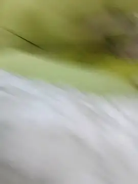 ONixCris online show from February 20, 2026, 5:24 pm