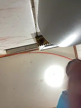 Babypalomi online show from February 8, 2026, 6:28 am