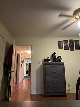 Snapshot of FireAfterDark chatting on April 15, 2026, 12:17 am FireAfterDark online show from April 15, 2026, 12:17 am