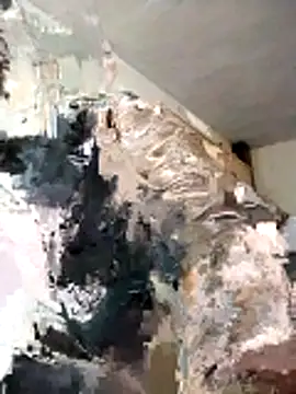 Snapshot of BoxedDitty chatting on February 21, 2026, 3:18 am BoxedDitty online show from February 21, 2026, 3:18 am