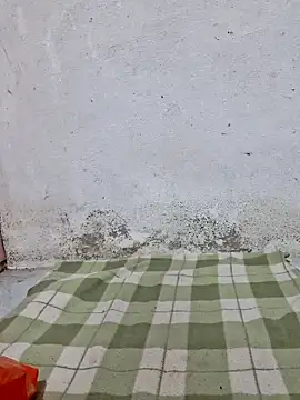 Mey mey2k3 online show from March 21, 2026, 2:16 am