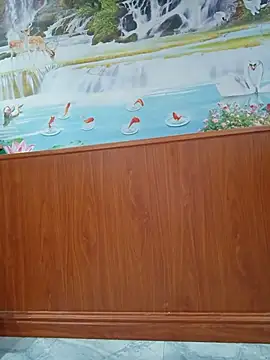 sa-sakura online show from March 23, 2026, 12:31 pm