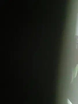 Snapshot of Gordinho_dos_pes chatting on February 25, 2026, 2:10 am Gordinho dos pes online show from February 25, 2026, 2:10 am