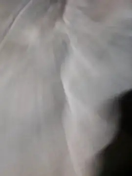 poke90201 online show from March 22, 2026, 12:58 am