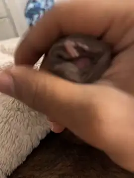 Manny456 online show from March 31, 2026, 5:52 am