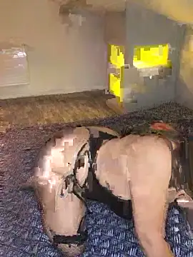 joujou95012 online show from April 15, 2026, 7:43 pm