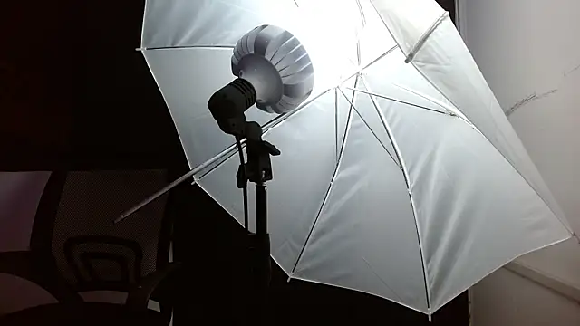 Snapshot of Miss_Merrie chatting on March 1, 2026, 10:06 am Miss Merrie online show from March 1, 2026, 10:06 am