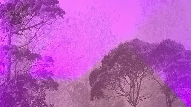 Elizabeth Ferrer online show from March 16, 2026, 12:09 pm