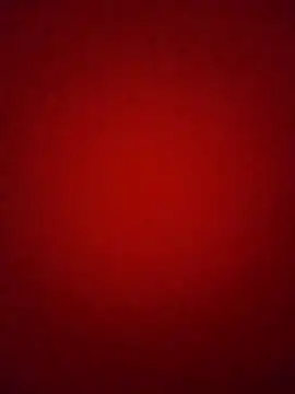 Snapshot of Pelloz chatting on February 4, 2026, 9:37 am Pelloz online show from February 4, 2026, 9:37 am