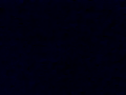 Tommyzzzzzz online show from November 28, 2025, 5:21 am