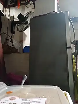 Wildcam21 online show from February 24, 2026, 9:51 am