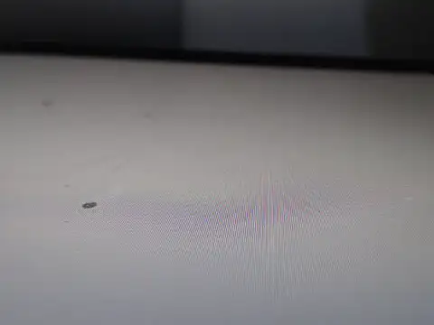 AlyssaBrown online show from February 21, 2026, 7:04 pm