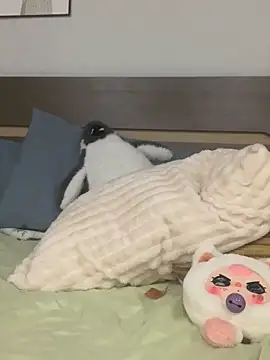 Rin-yiyi online show from March 8, 2026, 2:21 pm