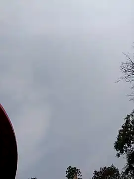 Linka998 online show from April 5, 2026, 7:49 am