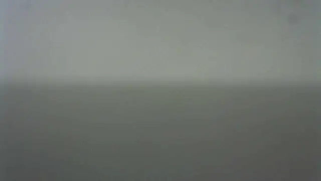 Thommas8a online show from February 22, 2026, 4:02 am