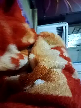 Snapshot of yusu_3 chatting on March 19, 2026, 6:45 pm yusu 3 online show from March 19, 2026, 6:45 pm