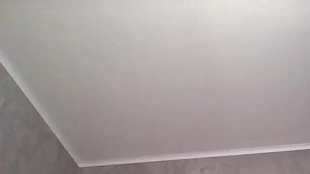 Clover Shine online show from April 29, 2026, 8:37 pm