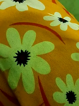 Snapshot of Ranjet01 chatting on February 13, 2026, 1:29 pm Ranjet01 online show from February 13, 2026, 1:29 pm