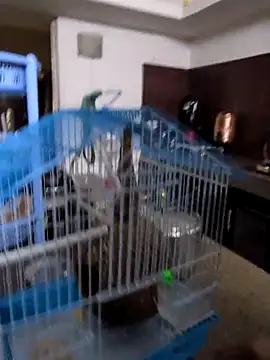 Snapshot of sexysilmy chatting on February 25, 2026, 8:35 am sexysilmy online show from February 25, 2026, 8:35 am