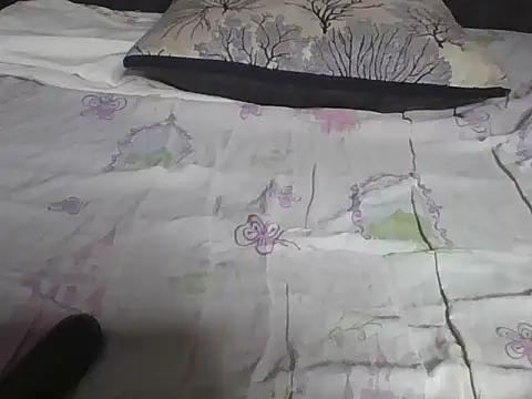 Snapshot of Hot-litchie chatting on February 19, 2026, 11:06 am Hot-litchie online show from February 19, 2026, 11:06 am