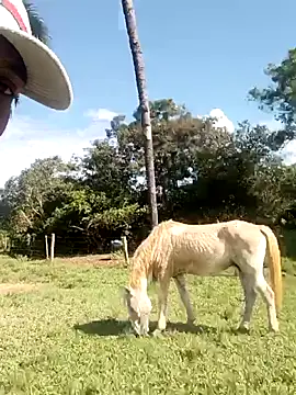 nego5628 online show from March 8, 2026, 6:12 pm