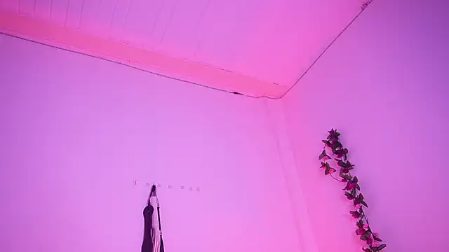 TiffanySander online show from April 11, 2026, 7:45 am